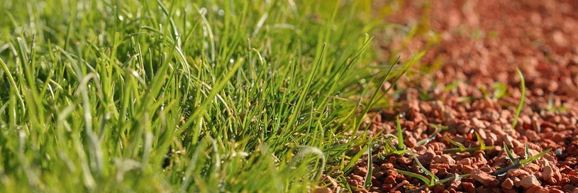 Ewing Outdoor Supply banner