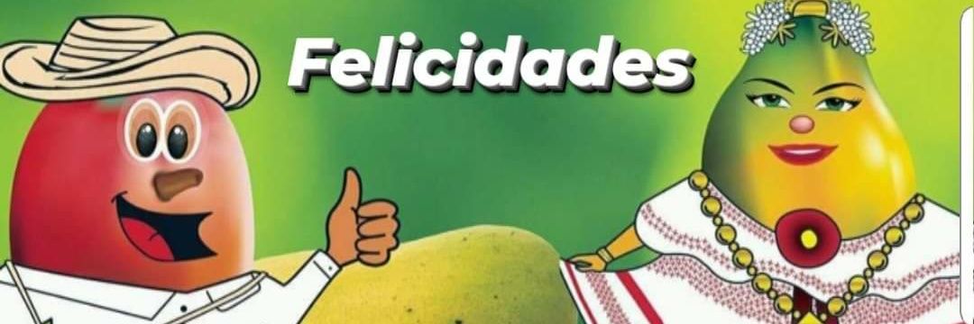 FestiMango's profile banner image