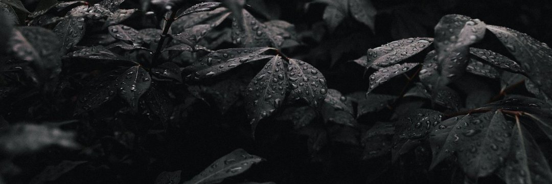 Trades Outlooks banner