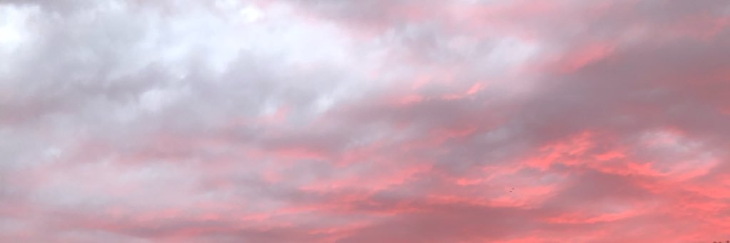 NickCaracciola's profile banner image