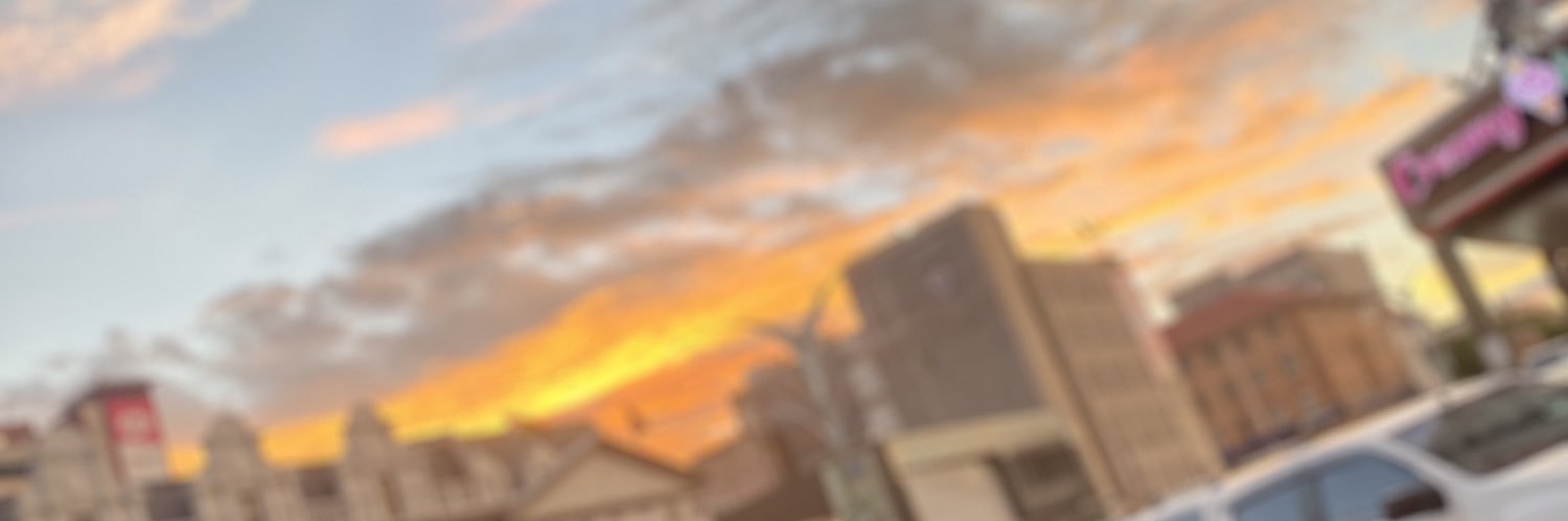 Bongumusa Ndlovu banner