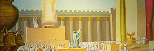 LSaboris𓉱's banner