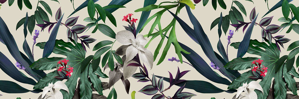 Julee Wilson banner