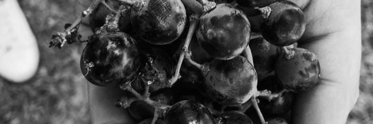 Ohmaeclementine's profile banner image