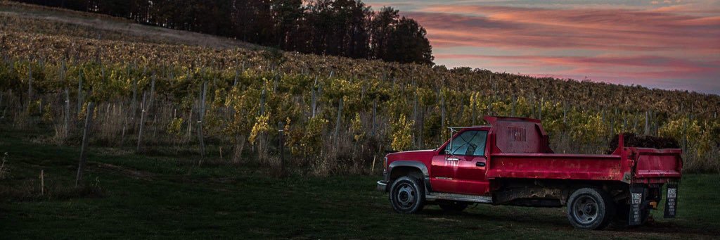 Organic Wine Journal banner