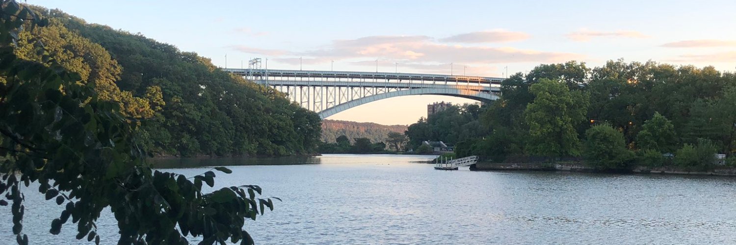 richsteinny's profile banner image