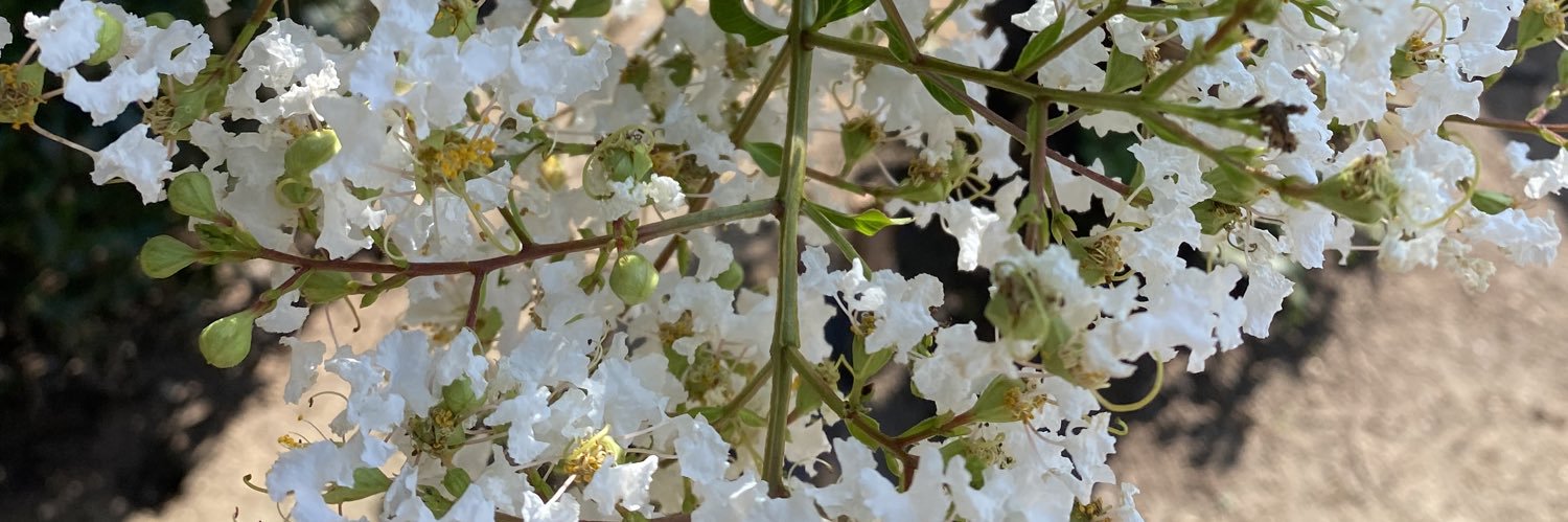 PeightonHayes's profile banner image