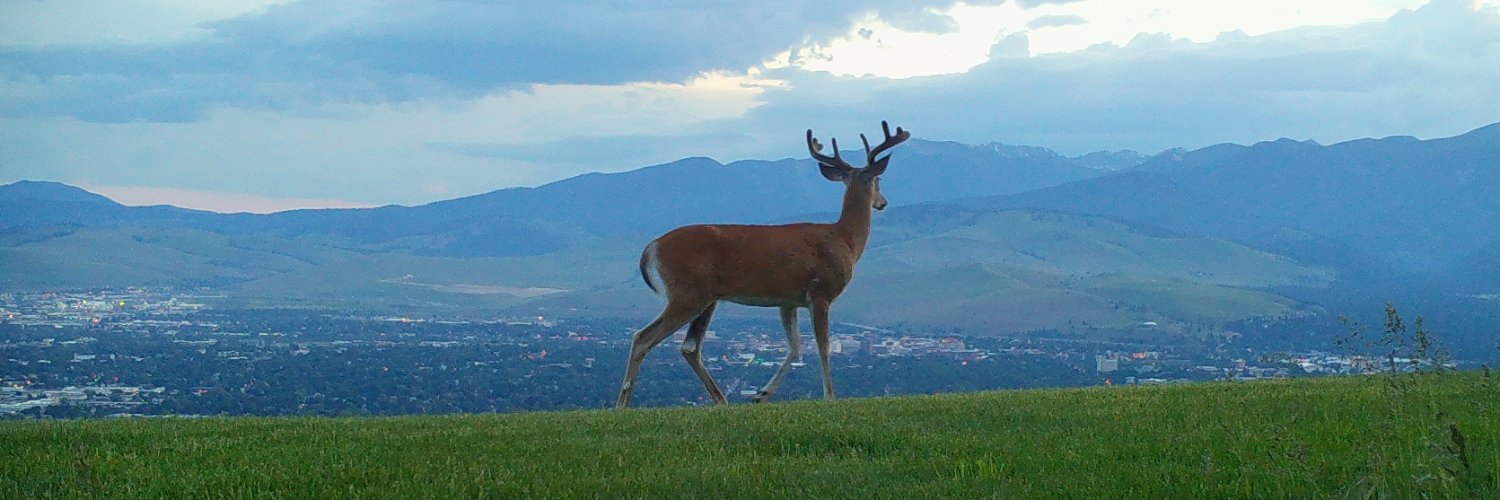 trailcams 🌿 banner