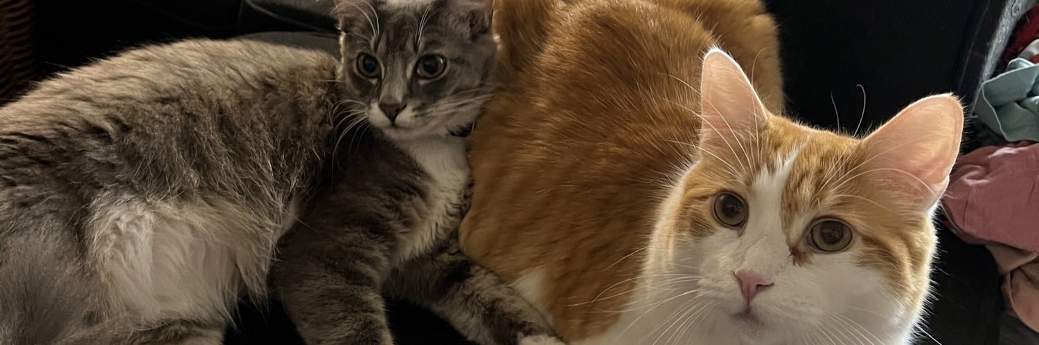 bradenlayz's profile banner image