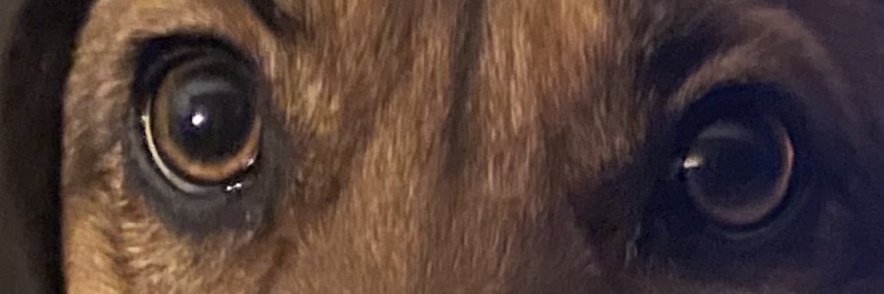 Shaun2224's profile banner image