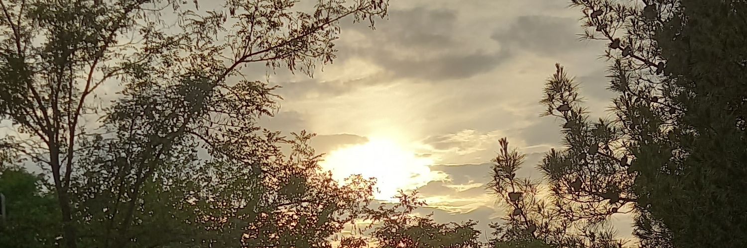 NftZparsa's profile banner image