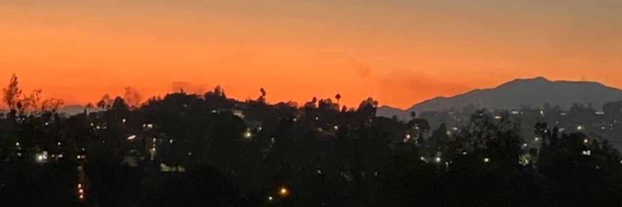 Leslie Berestein Rojas banner