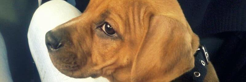 AgusMDabrio's profile banner image