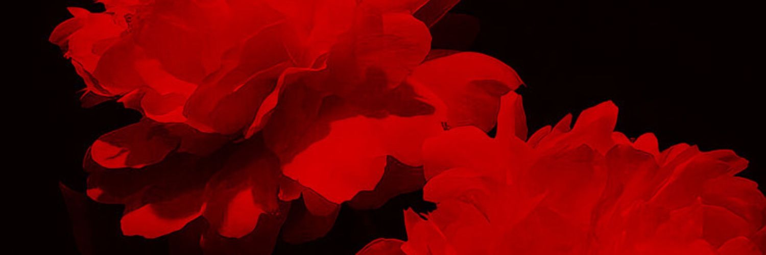 BETHESDA SYBILL. banner