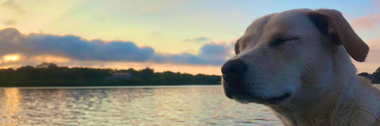 sydburden's profile banner image