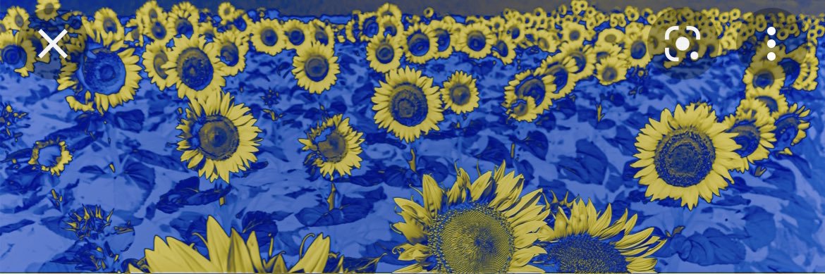 Donna🌹💙🐈‍⬛ 🪷🌊🟧🟦's banner