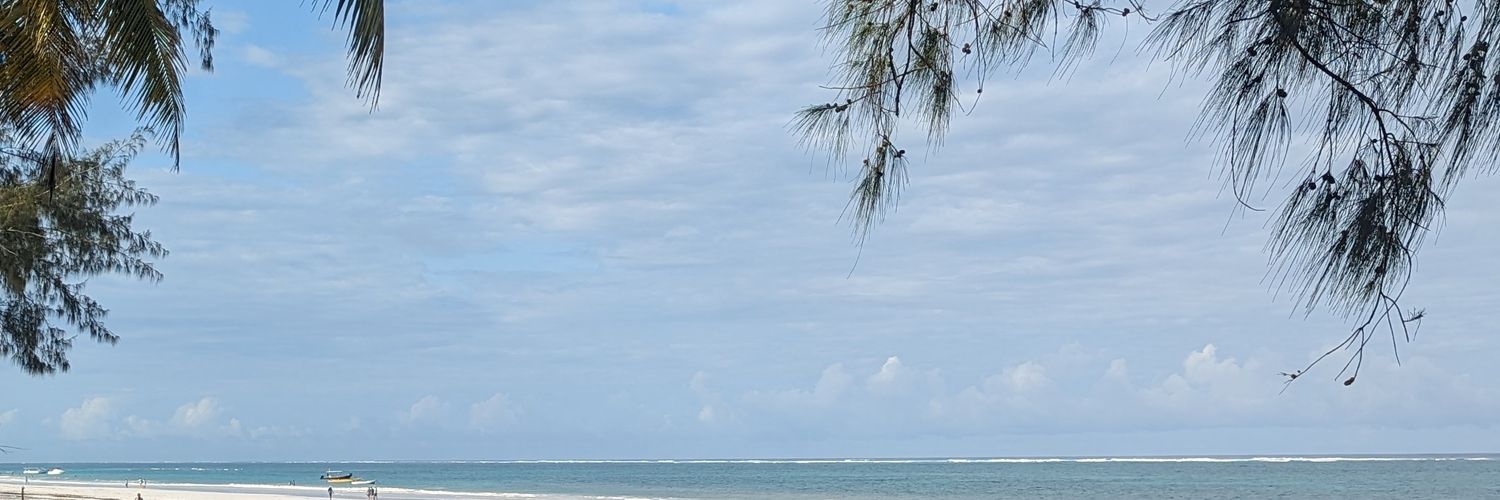 leo00y's profile banner image