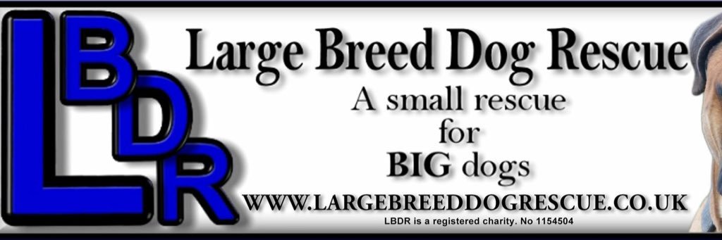 LBDRescue's profile banner image