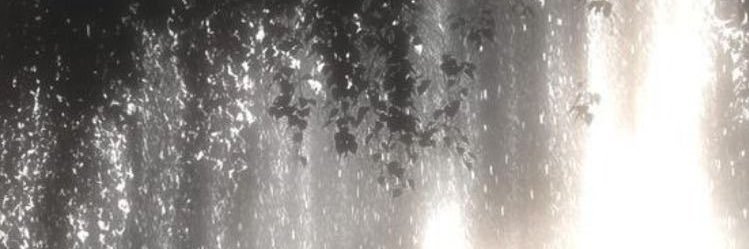 aurora ౨ৎ ‧₊ .ᐟ check pinned. banner