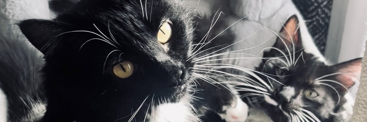 queenbie78's profile banner image