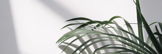 amyparrker's profile banner image