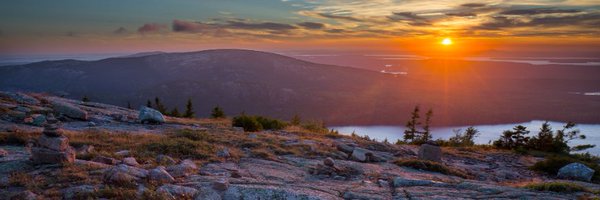 realNeo_Puritan Profile Banner