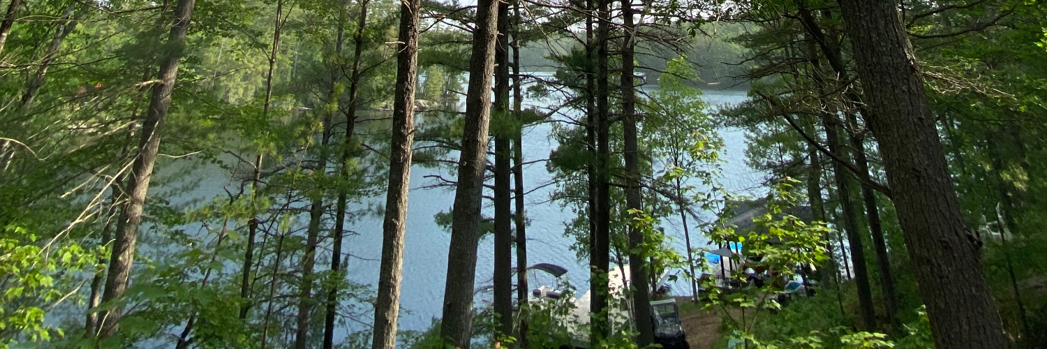 Sarah Dyer banner