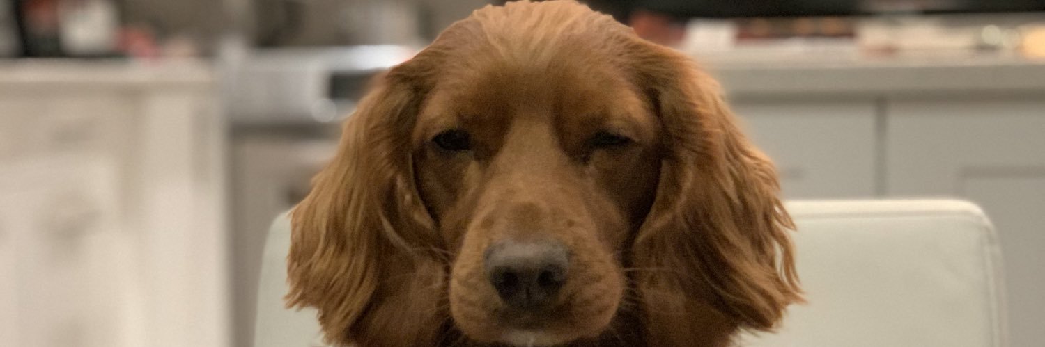 SC0TTBINNS's profile banner image