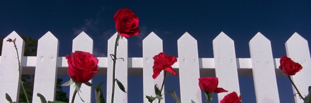 rossales_'s profile banner image