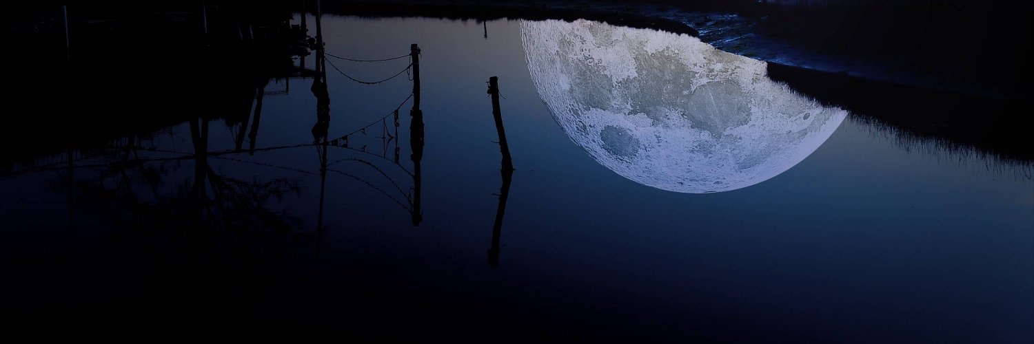 French Tucker banner