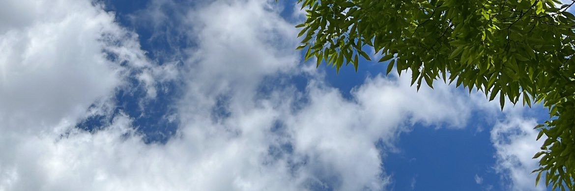 knathy_'s profile banner image