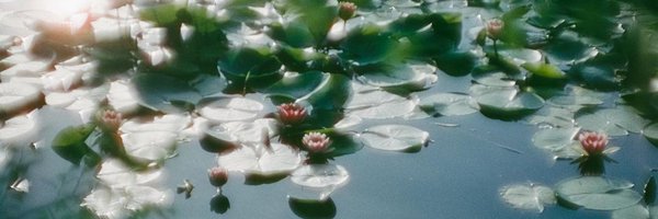 tamyoca Profile Banner