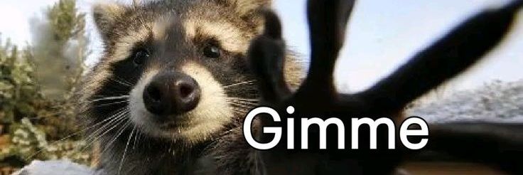 Ruru // they/them banner