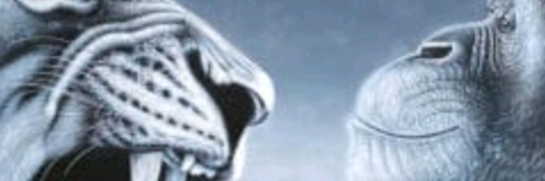 DogmaI777's profile banner image