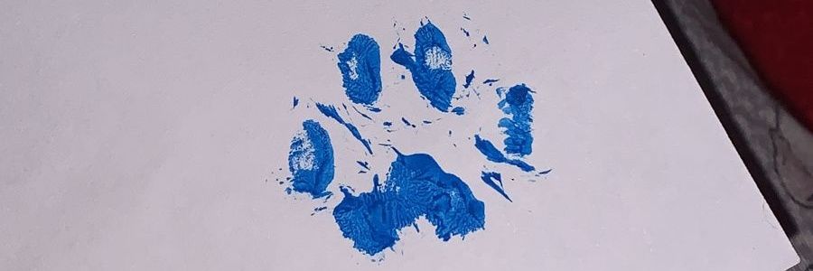 polibarbrisa's profile banner image