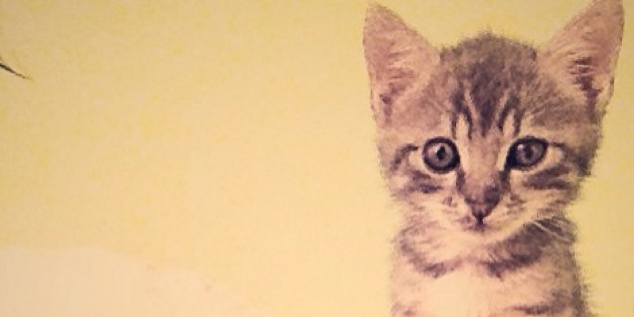 Zzynpkrks's profile banner image