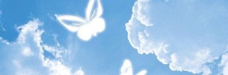 127doja's profile banner image