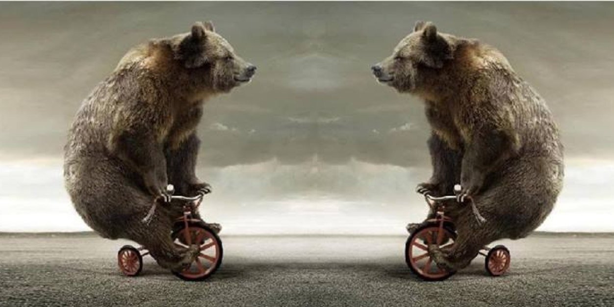 bear_glen's profile banner image