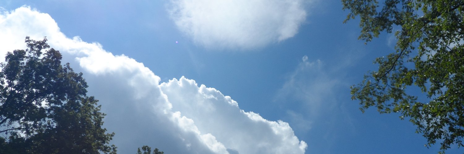 ncwoods's profile banner image