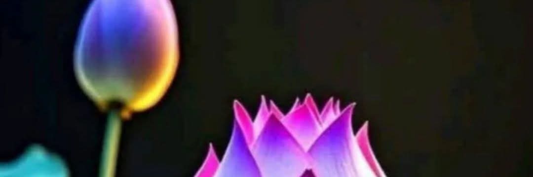 Anikumar banner