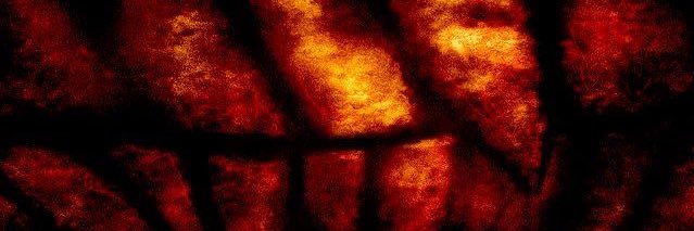 will is evil banner