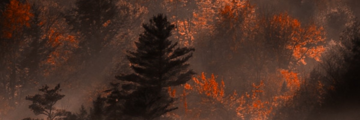FaCEinDPlaCE's profile banner image