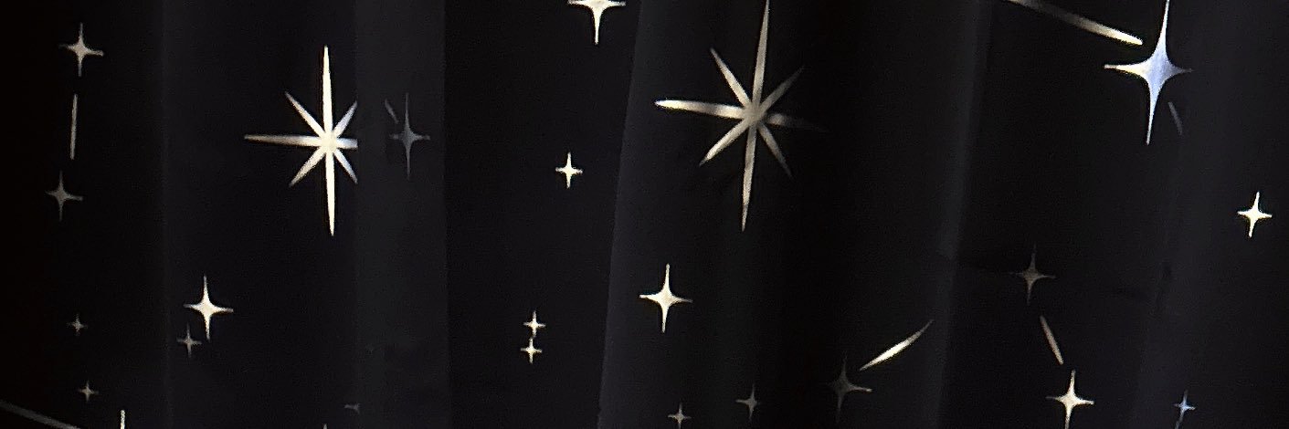 ダ.︎︎⟡* banner