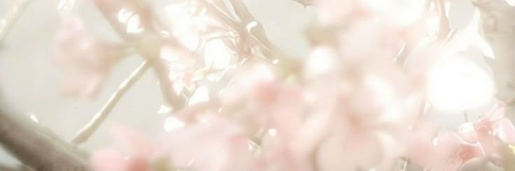٭ Val ٭ banner