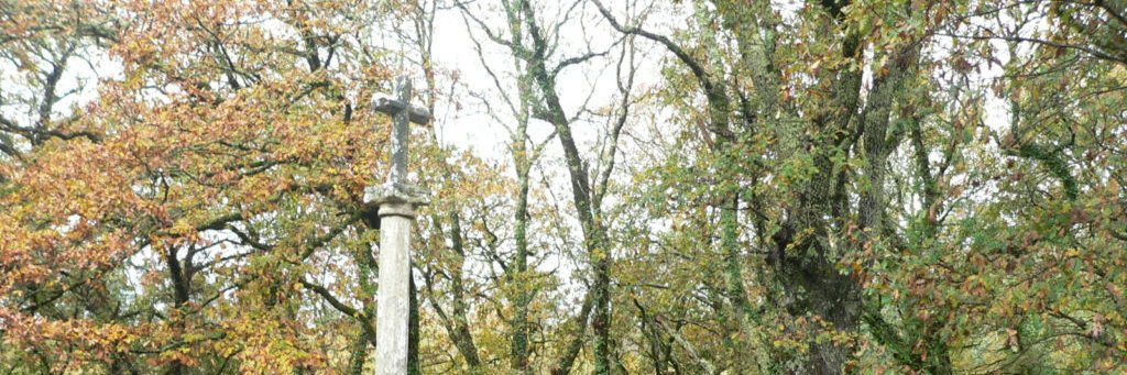 𝕽𝖚𝖉𝖊𝖘𝖎𝖓𝖉𝖔 𝕹𝕹 banner