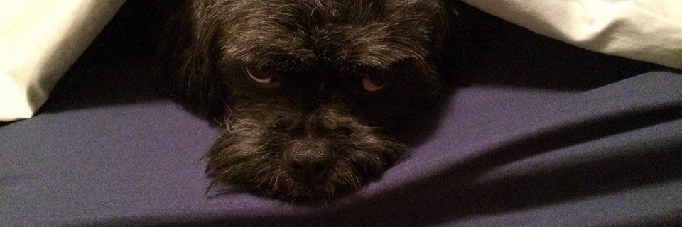 angeleyeswon's profile banner image