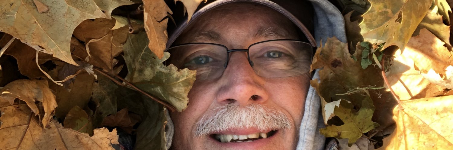 Mike Whitaker banner