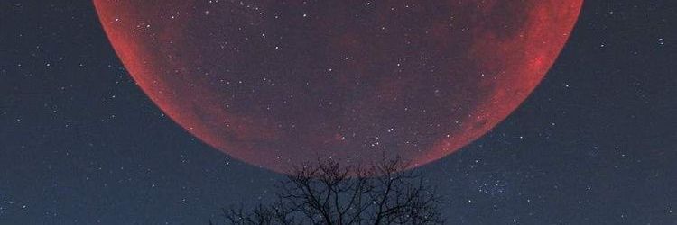 daludanang_'s profile banner image