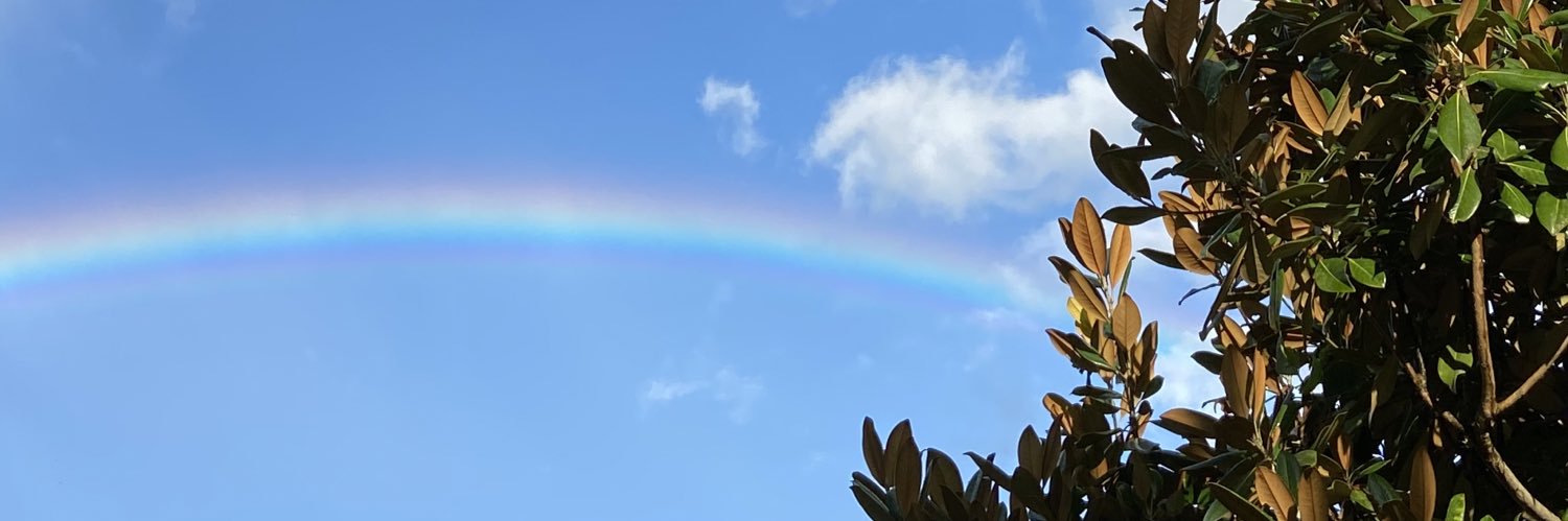 Nmo0218's profile banner image