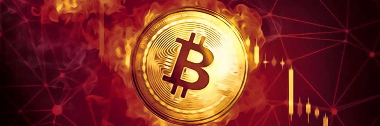 thatbtcguy's profile banner image
